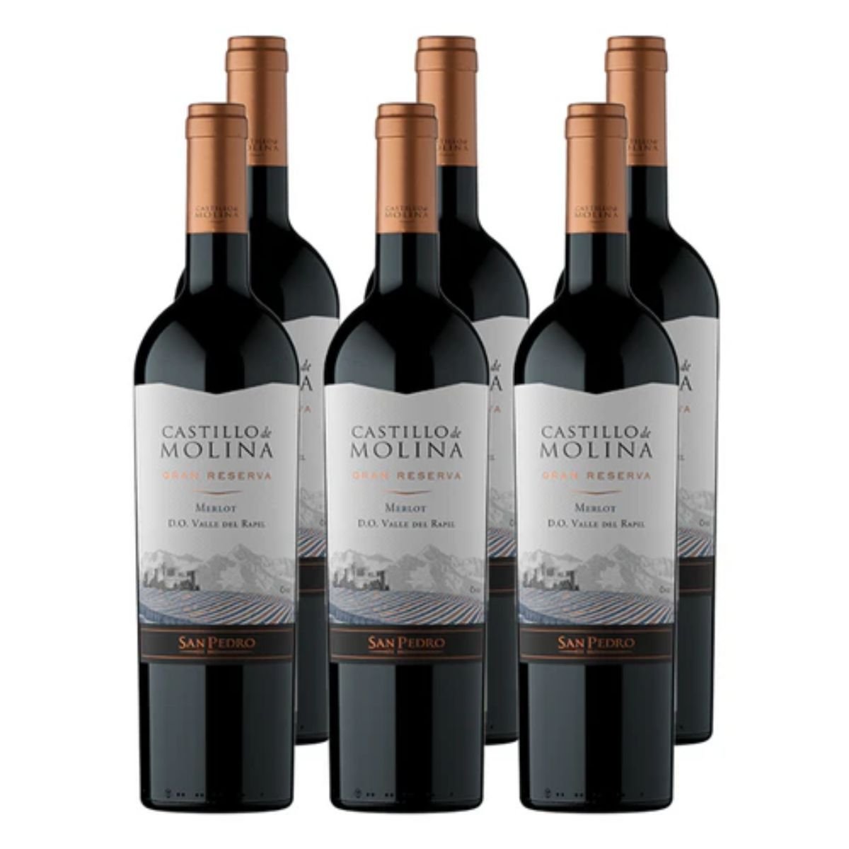pack castillo de molina